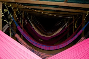 IMG_6054