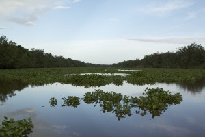 IMG_6083