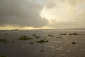 IMG_6117