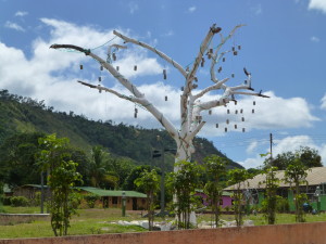 venesuela 056