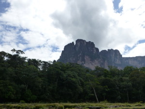 venesuela 231