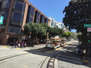 IMG_0537