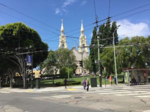 IMG_0542
