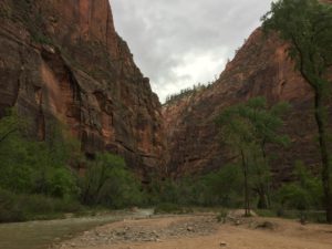 IMG_0758