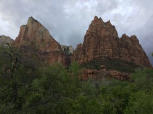 IMG_0828