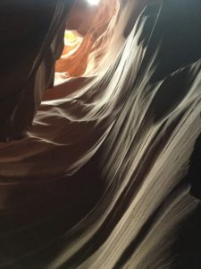 IMG_0985