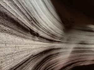 IMG_0994