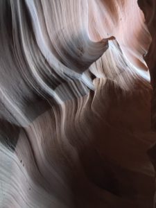 IMG_1004