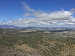 IMG_1086