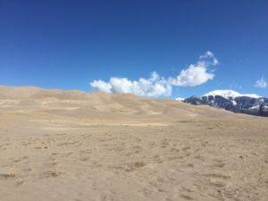 IMG_1186