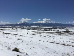IMG_1217
