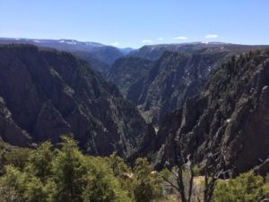 IMG_1298