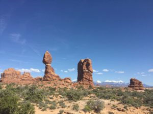 IMG_1355