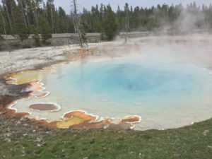 IMG_1450