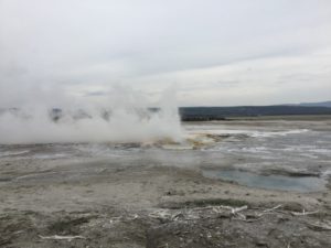 IMG_1463