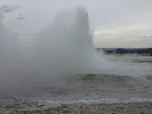 IMG_1468