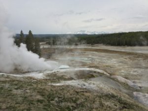 IMG_1595