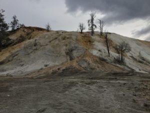 IMG_1623