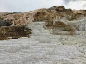 IMG_1624