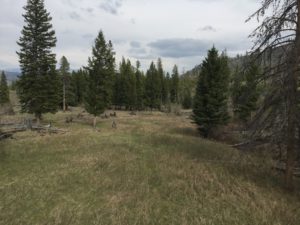 IMG_1635