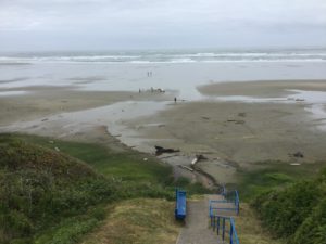 IMG_1782