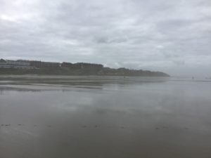 IMG_1786