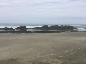 IMG_1796