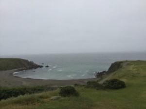 IMG_1917
