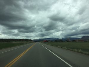 IMG_4594