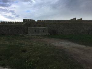 img_1982