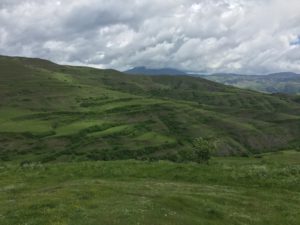 img_2049
