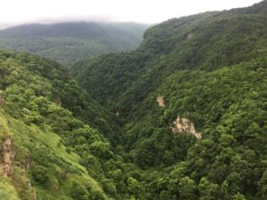 img_2060