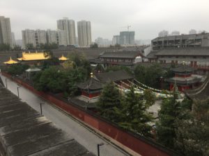 img_3143