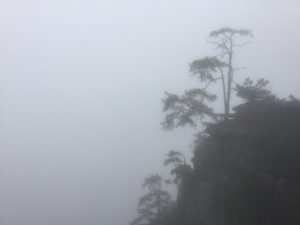 img_3231