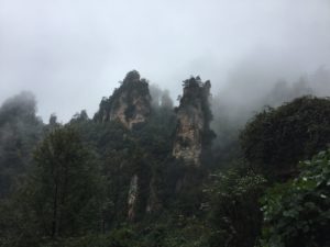 img_3236